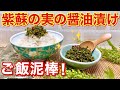 紫蘇（大葉）の実の醤油漬けの作り方♪プチプチ食感と紫蘇の実の爽やかな香りでご飯が最高にすすみます。密閉袋で簡単に出来長期保存も可能です。