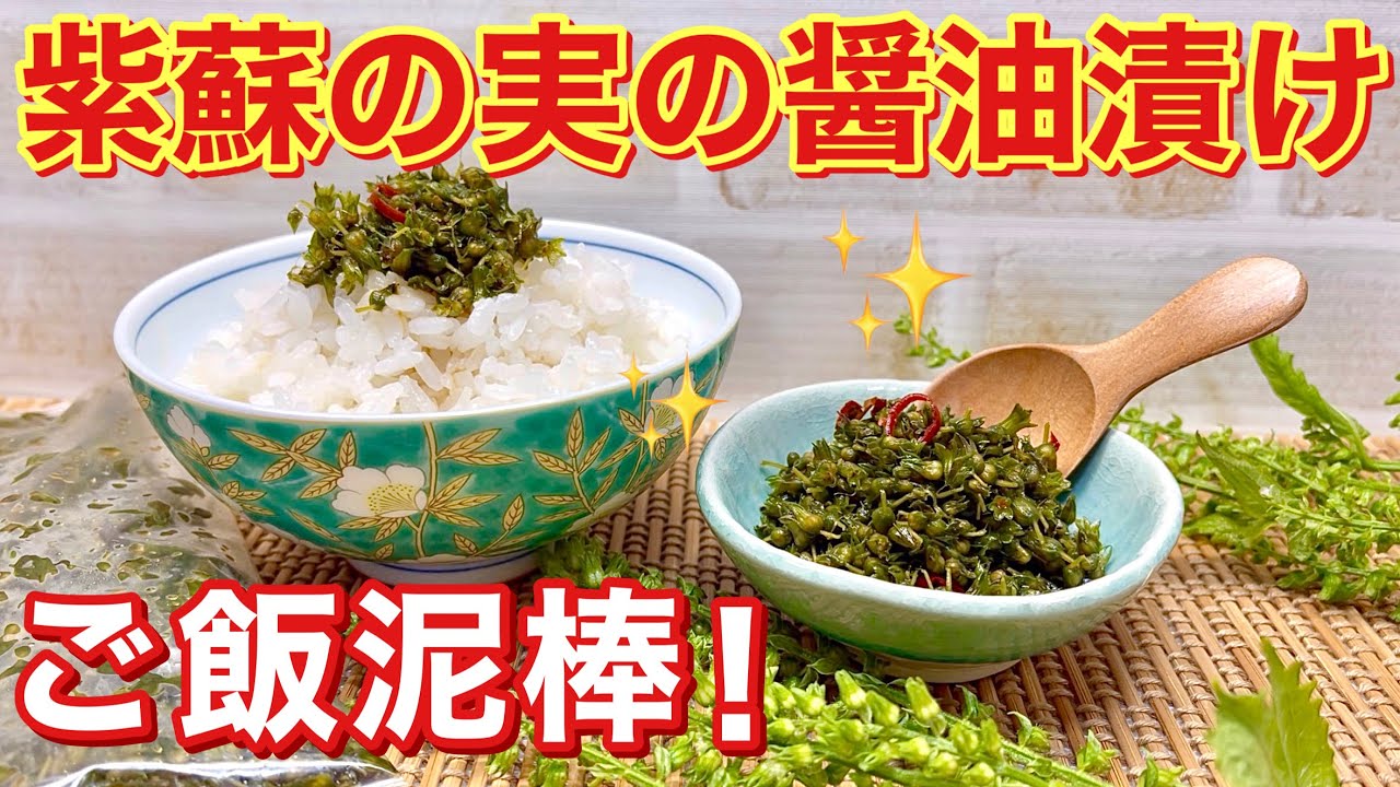 紫蘇(大葉)の実の醤油漬けの作り方♪プチプチ食感と紫蘇の実の爽やかな香りでご飯が最高にすすみます。密閉袋で簡単に出来長期保存も可能です ...