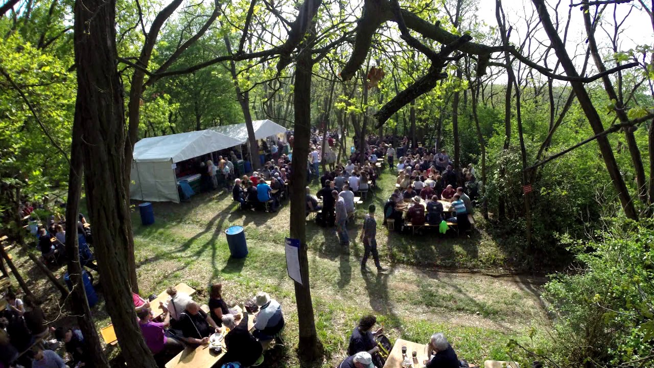 48. Waldfest FFW Welgesheim 01.05.2019 (Zeitraffer)