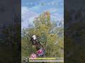 quién dijo que no se usar una moto? #callofdutymobile #clip #viral #flowboss #flowwolf