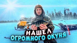 Нашел Огромного Окуня!Оставил Самоловки На 5 Дней И Вот Результат! Ночёвка.