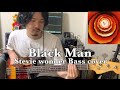 Black Man / Stevie wonder (synthe Bass cover)