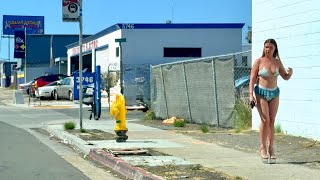 San Diego Dalbergia & Main Street Tours -1