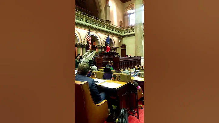 Public Advocate Letitia James Acknowledges Senator...