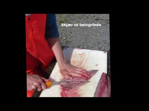 Video: Hvordan Lage Fersk Makrell
