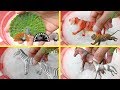 Animal Toys and 3D Animals (เรียนรู้เสียงสัตว์ - สัตว์ของเล่นและสัตว์3มิติ)