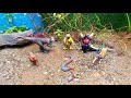 Get animal toys, Godzilla, Lion, Antelope, Spinosaurus, T-rex, Snake, Cow, Donkey, Carnotaurus, Duck