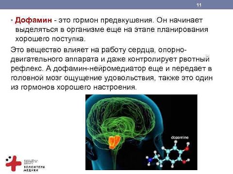 дофамин, серотонин, окситоцин,