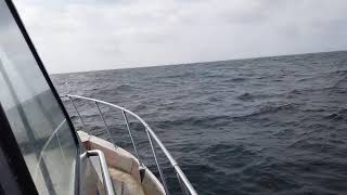 starship launch LIVE RECOVERY Update*