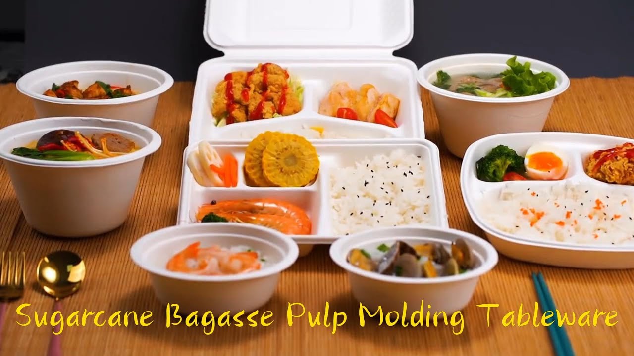 Far East & Geotegrity Sugarcane Bagasse Pulp Molding Biodegradable ...