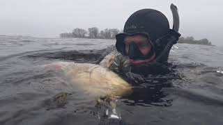 клип Весёлая подводная охота поиск сома