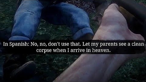 I Was About To Kill An NPC but Then He Said This..