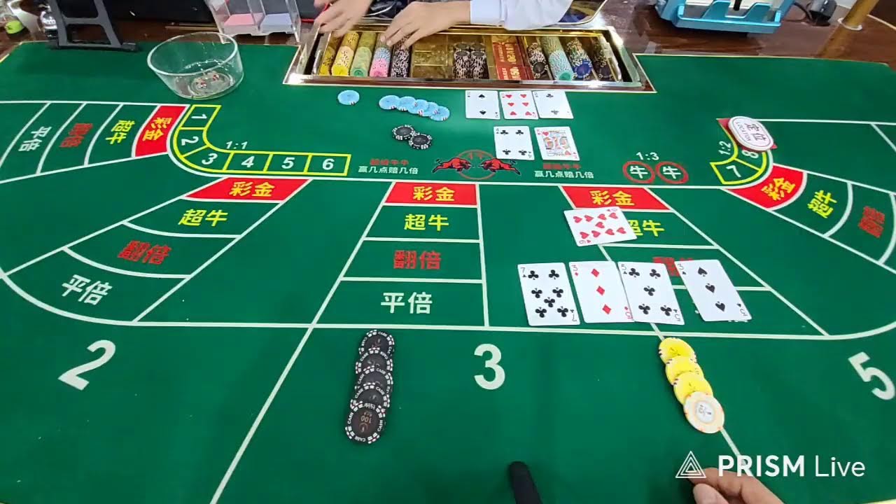 박대표님 니우니우