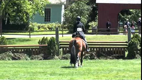 The Derby GVCM Claudia Freeman & Swingtime