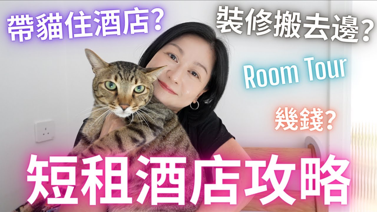 短租酒店攻略㊙️裝修搬去邊⁉️Pet Friendly🐾貓貓住酒店必備用品💯租金收費⚠️注意事項全公開💛真實酒店體驗