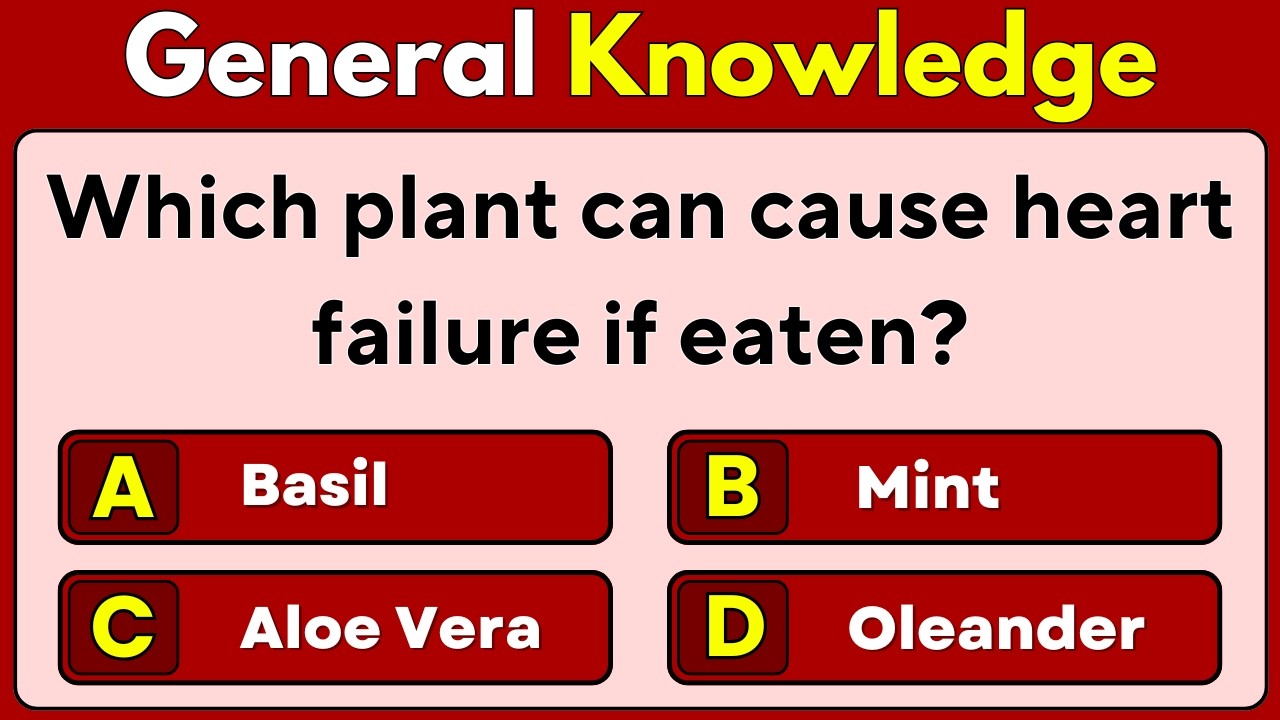 40 Tricky General Knowledge Questions | Test Your Brain | GK Quiz for ...
