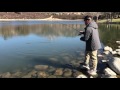 Trout fishing in so cal