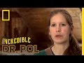 An Ear Full of Problems | The Incredible Dr. Pol