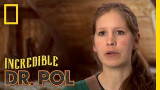 An Ear Full of Problems | The Incredible Dr. Pol