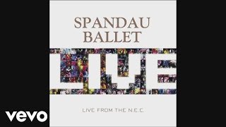 Spandau Ballet - Swept (Live from NEC, Birmingham) [Audio]