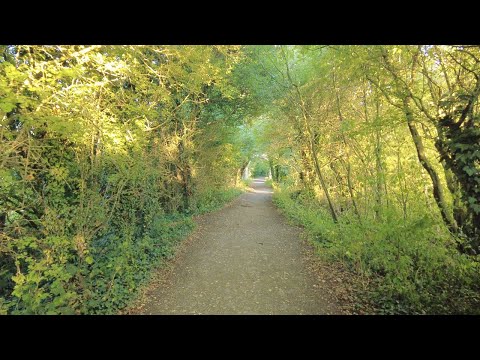 Summer Evening Walk in South Cerney | Cotswolds