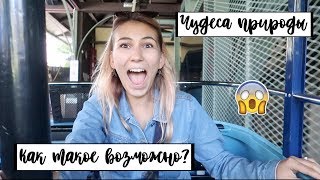 Зоопарк в Сан Диего и Светящийся планктон😱