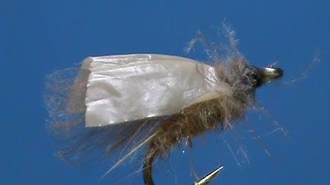 Fly Tying for Beginners a GB Tent Wing Caddis with Jim Misiura