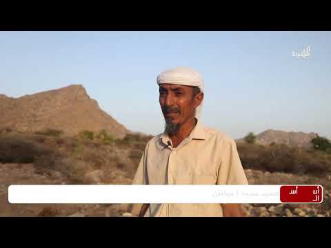 تعرف على أسرار موقع اللبيب الأثري بأبين