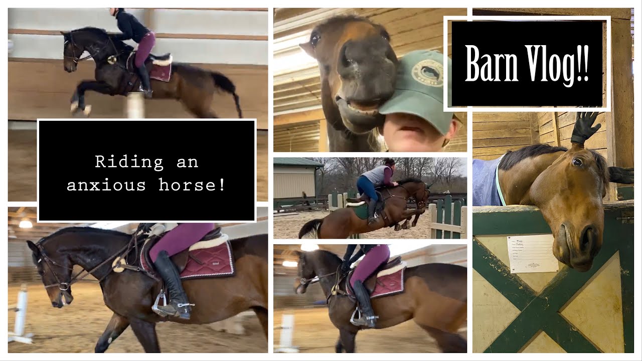 Riding an anxious horse  Barn Vlog