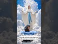 Tocca la Madonna di Lourdes e scrivi "Amen". Proprio questa sera