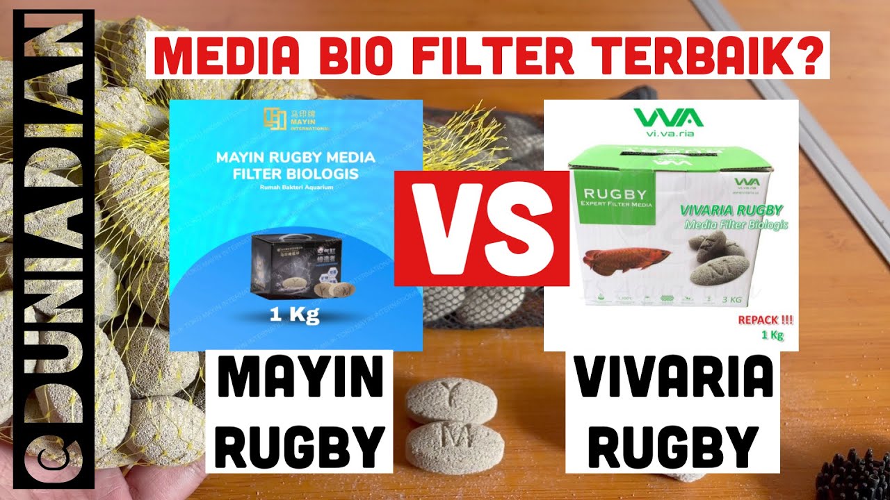 Review Mayin Rugby VS Vivaria Rugby | Media Biologis Filter Terbaik?
