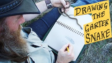 Drawing a Garter Snake in the Nature Journal