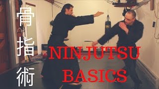 Basic Ninjutsu - Kosshi Kihon 骨指基本