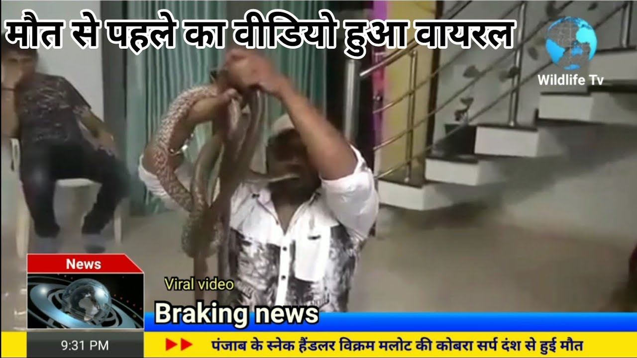 विक्रम मलौत की मौत कैसे हुई, रियल वीडियो हुआ वायरल Cobra bite se vikram malout inki mout ho gai