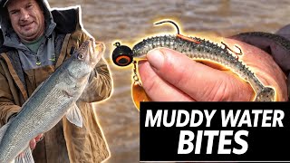Spring River Walleyes in MUDDY Water (Jig + Blade Tricks That WORK