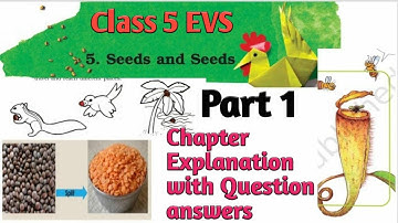 Seeds and Seeds| Class 5 EVS Chapter 5| CBSE  page 42 to 46 | Explained with question Answers#cbse