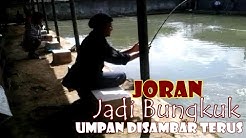 Koleksi Resep Umpan Ikan Mas Pake Udang Tutorial Kreasi 