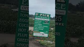 U Pick! At Goebbert’s farm