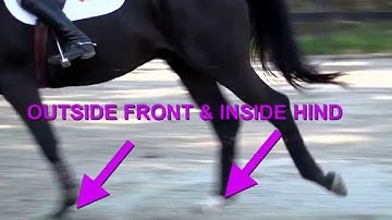 Flying Lead Changes Explained