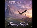 Flying high by cosmosis chill
