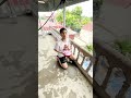Đổ 10000 quả bóng bay nước vào đầu và cái kết #shortvideo #comedy #subscribe
