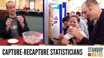 How to estimate a population using statisticians