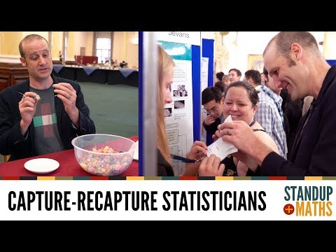 How to estimate a population using statisticians