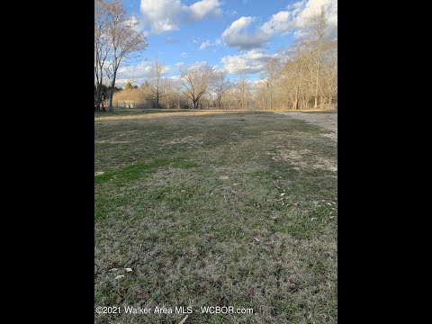 500 W Ridgewood Rd, Jasper, AL home video tour