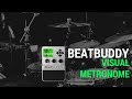 Singular sound  beatbuddy drum machine demo visual metronome