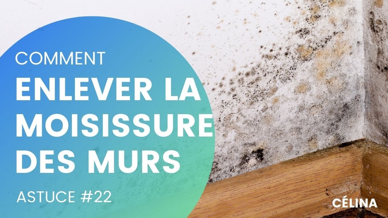 Comment enlever la moisissure sur les murs? Paris Smart Clean