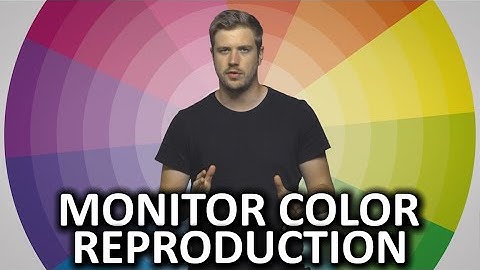 Why do Monitors Display Colors Differently?
