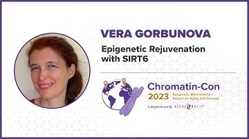 Chromatin-Con 2023 - Session 3 Interventions for Healthy Aging and Longevity - Dr. Vera Gorbunova