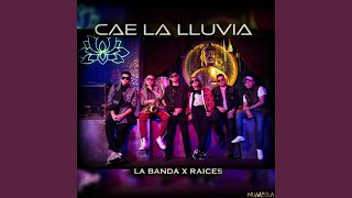 Cae la Lluvia (feat. Raíces)