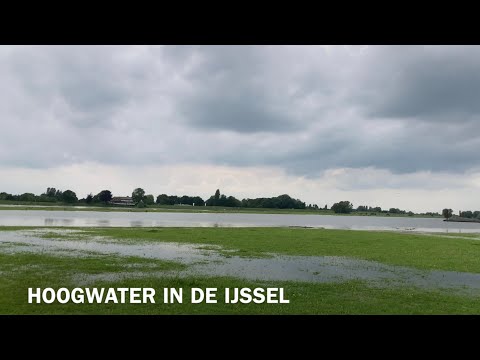 Wateroverlast bij de IJssel door de extreme regenval in Duitsland. MET INTERVIEW MET EXPERT